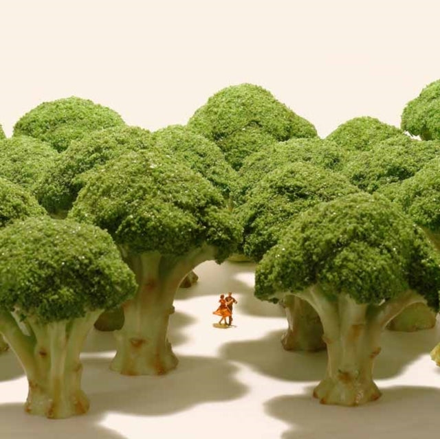 Small Wonders Life Portrait in Miniature