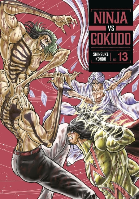 Ninja Vs. Gokudo