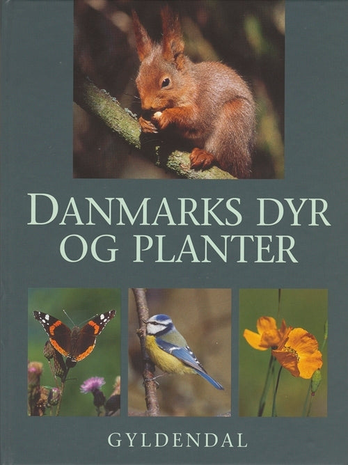 Danmarks dyr og planter