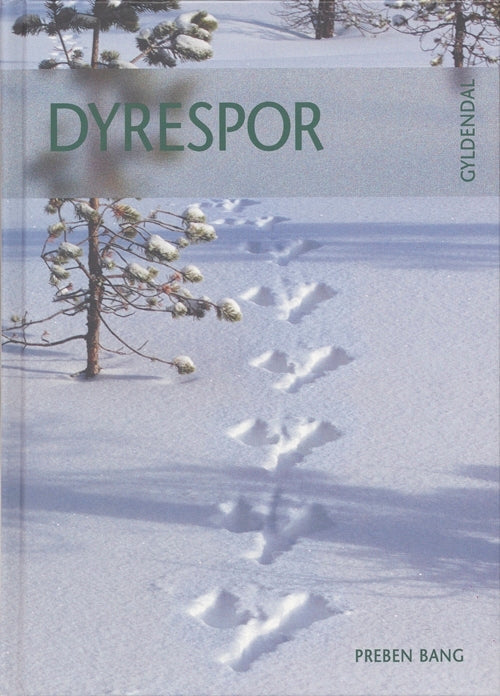 Dyrespor