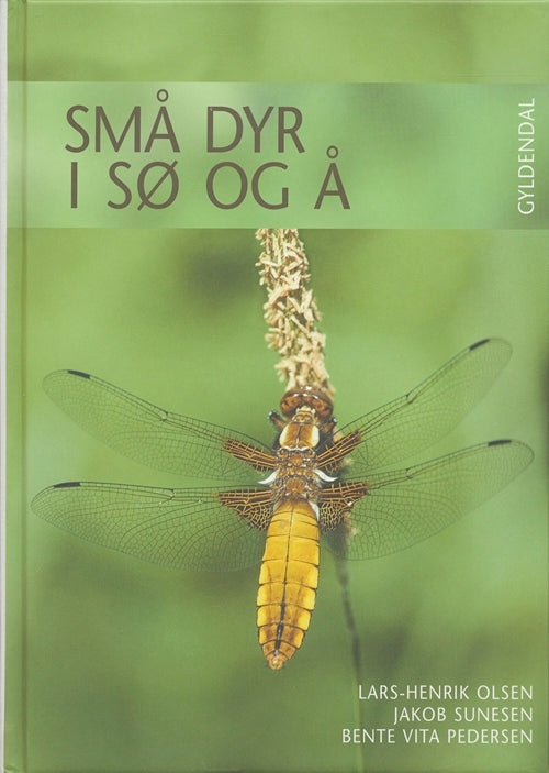 Små dyr i sø og å
