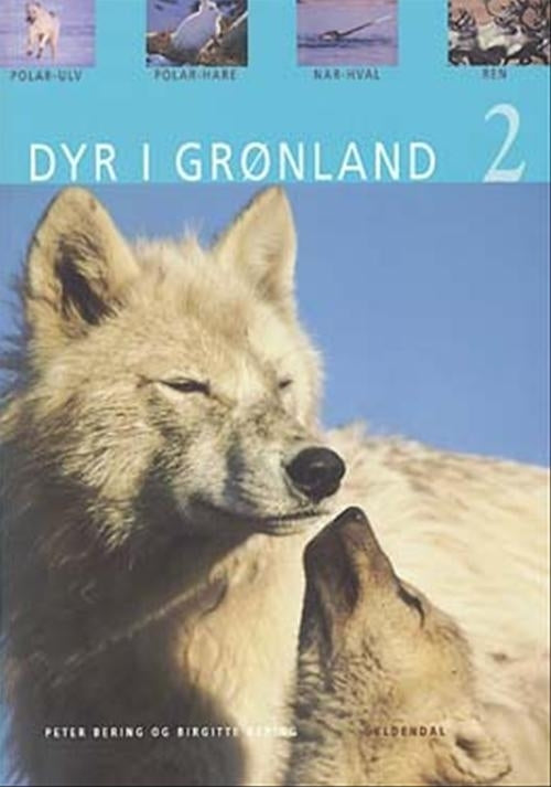 Dyr i Grønland 2