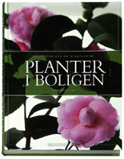 Politikens bog om stueplanter