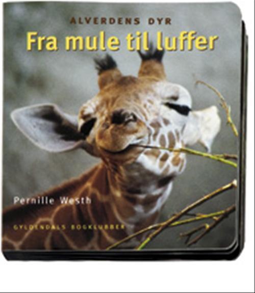 FRA MULE TIL LUFFER