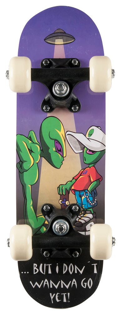Mini skateboard california 44,5 cm