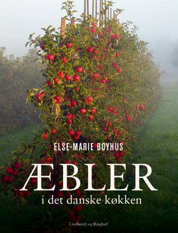 Æbler i det danske køkken