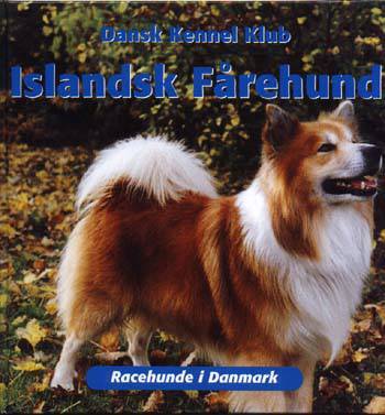 Islandsk Fårehund