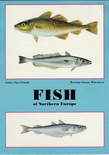 Fish of Northern Europe