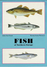 Fish of Northern Europe