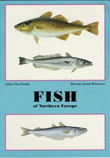 Fish of Northern Europe