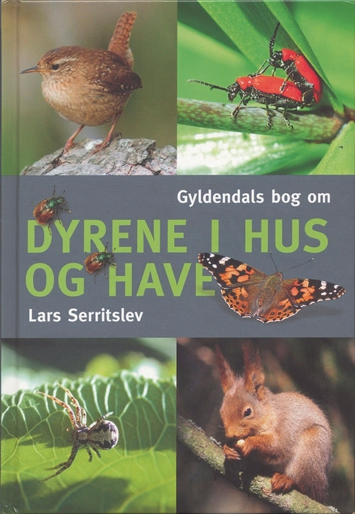 Dyrene i hus og have