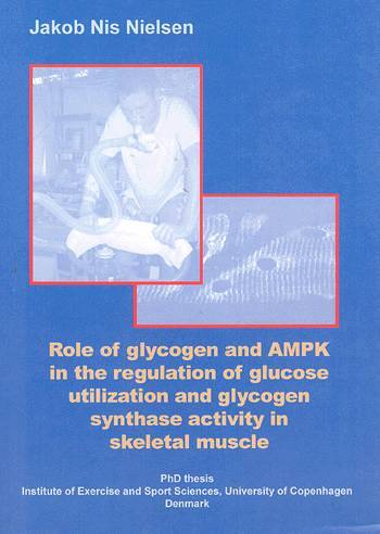 Role of glycogen and AMPK in the regulation of glucose utilization and glycogen synthase activity in skeletal muscle