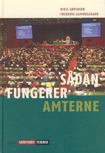 Sådan fungerer amterne