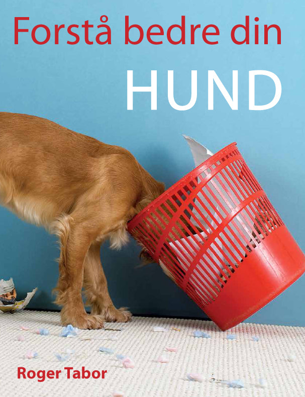 Forstå bedre din hund