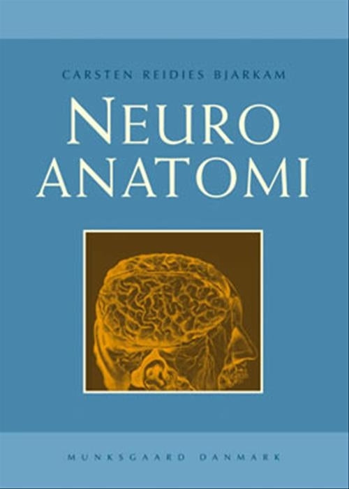 Neuroanatomi