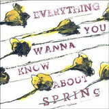 Everything you wanna know about spring