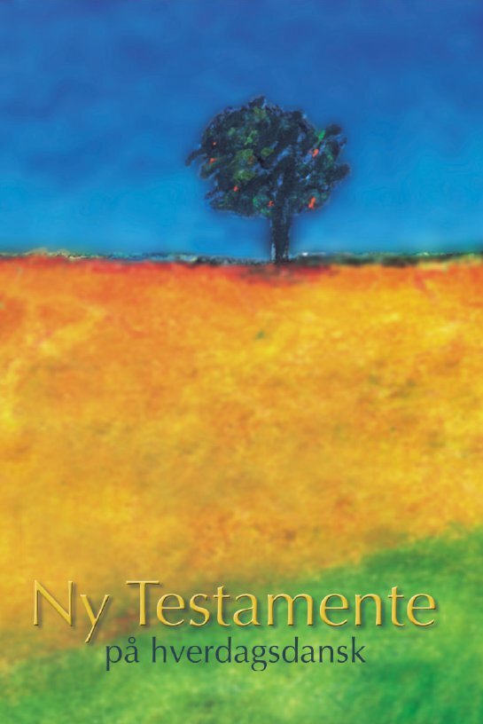 Ny Testamente - på hverdagsdansk, paperback.