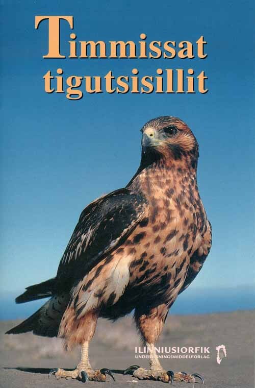 Timmissat tigutsisillit