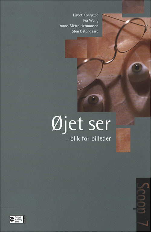Scoop 7, Øjet ser - blik for billeder, Tekstbog