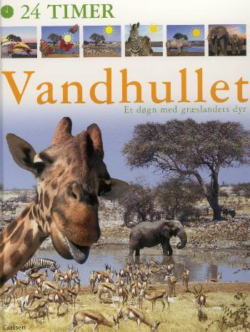 Vandhullet