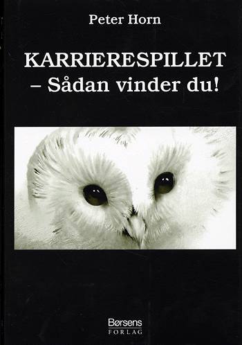 KARRIERESPILLET
