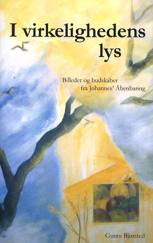 I virkelighedens lys