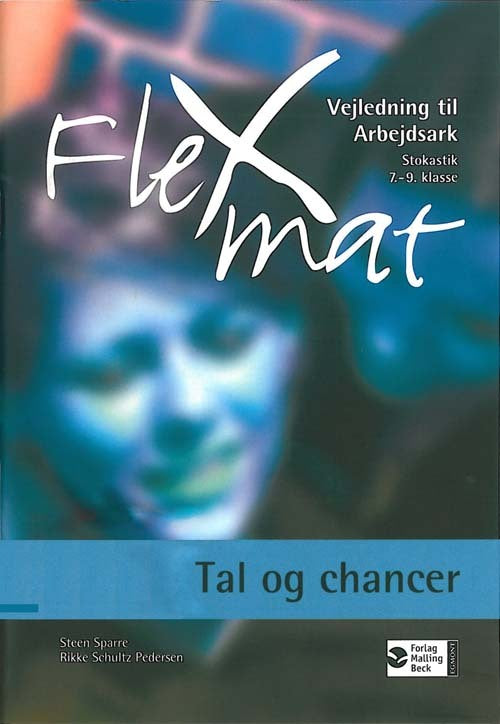 FlexMat, Tal og chancer, Vejledning til Arbejdsark