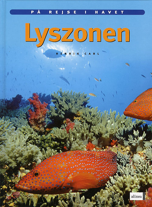 Lyszonen