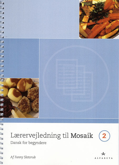 Mosaik 2, Lærervejledning