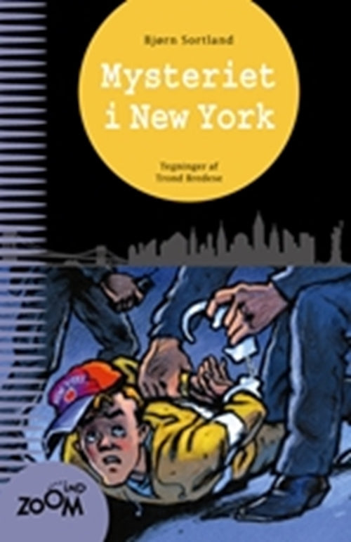 Mysteriet i New  York