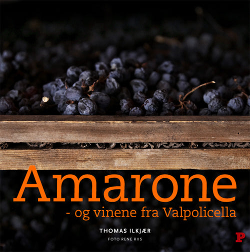 Amarone - og vinene fra Valpolicella