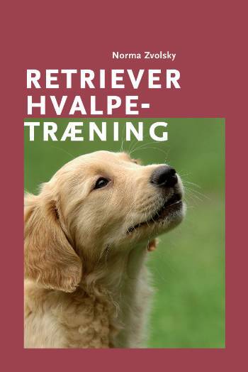 Retriever hvalpetræning