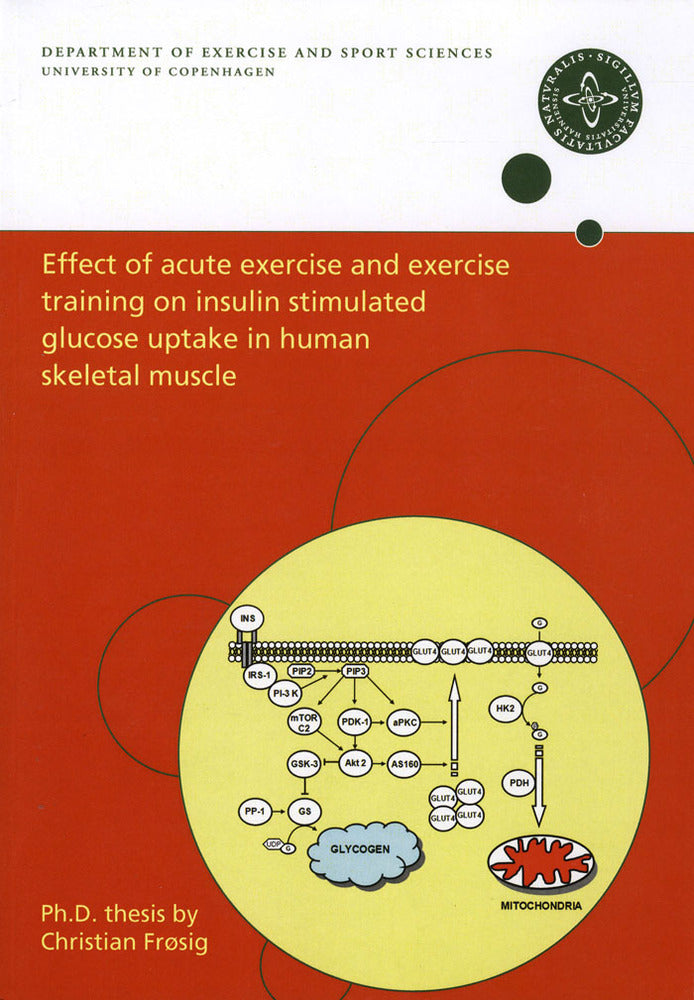 Effect of acute exercise and exercise training on insulin stimulated glucose uptake in human skeletal muscle