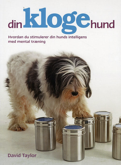 Din kloge hund