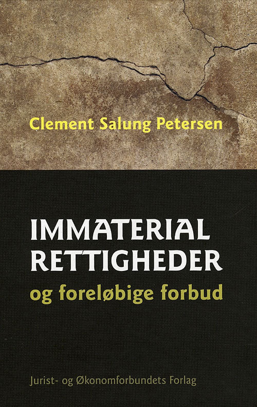 Immaterialrettigheder og foreløbige forbud