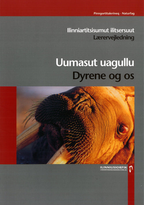 Uumasut uagullu