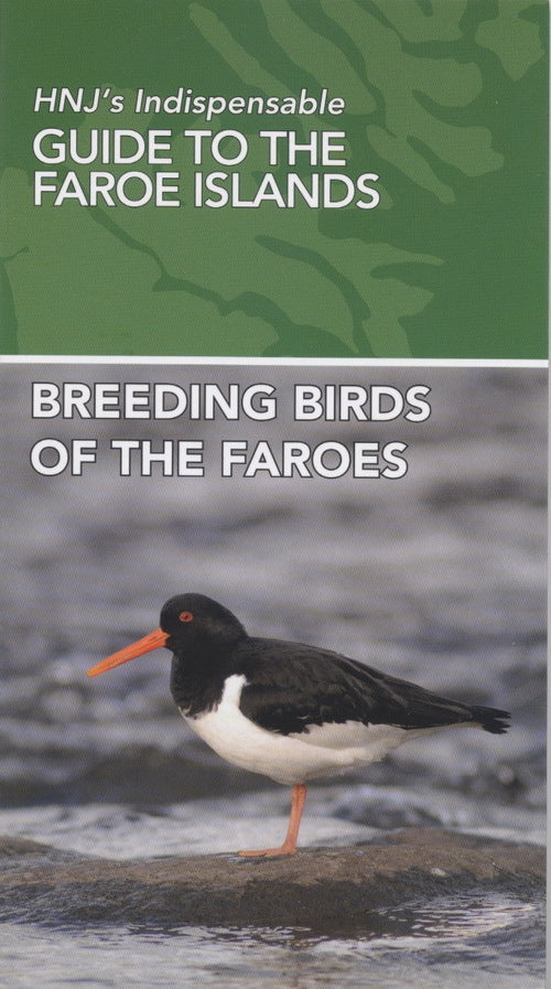 Breeding Birds of the Faroes