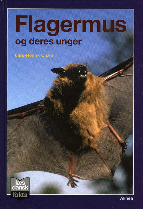 Læs dansk fakta, Flagermusen