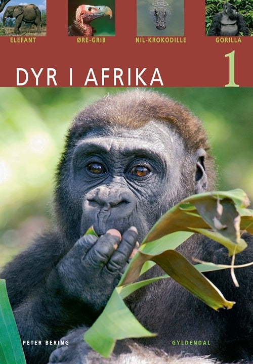 Dyr i Afrika 1