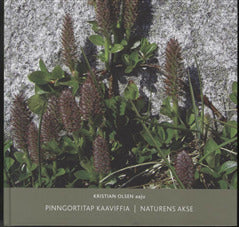 Pinngortitap kaaviffia