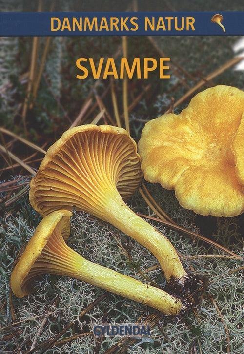 DANMARKS NATUR Svampe