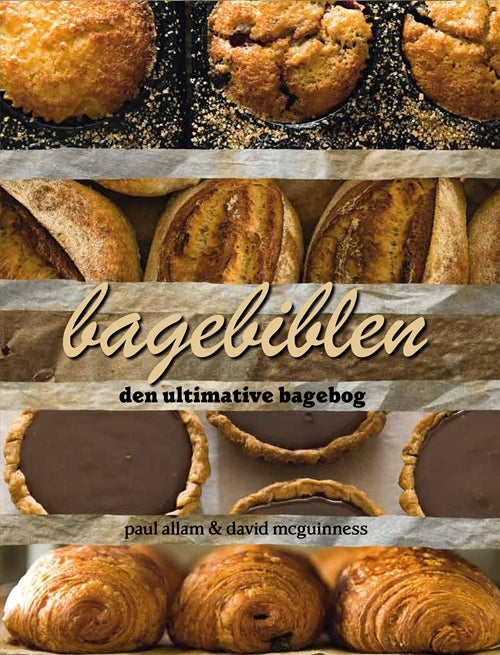 Bagebiblen
