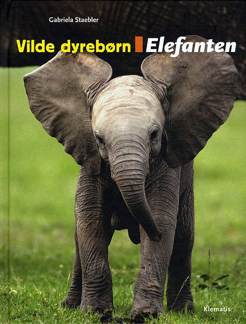 Vilde dyrebørn: Elefanten