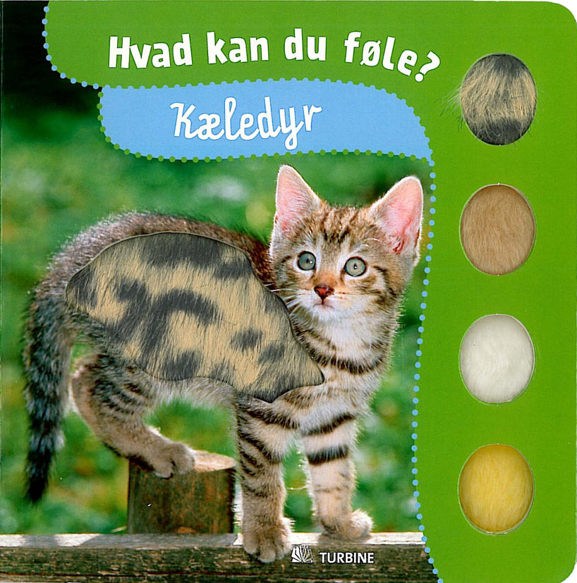 Kæledyr