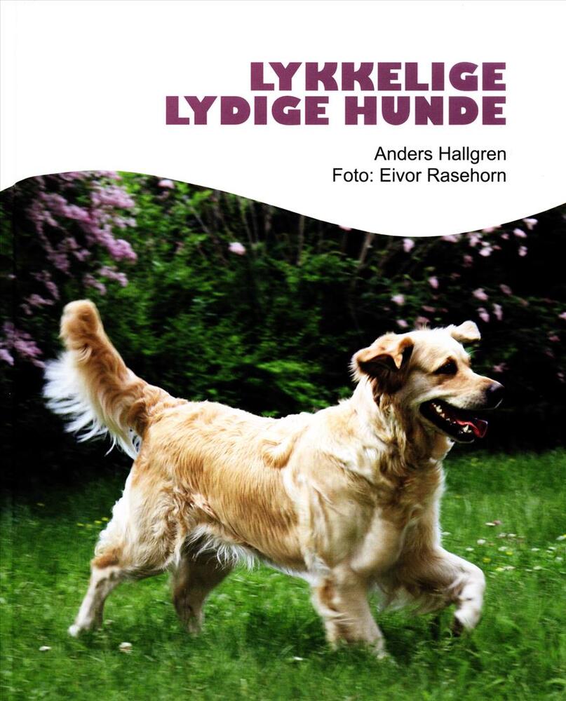 Lykkelige lydige hunde