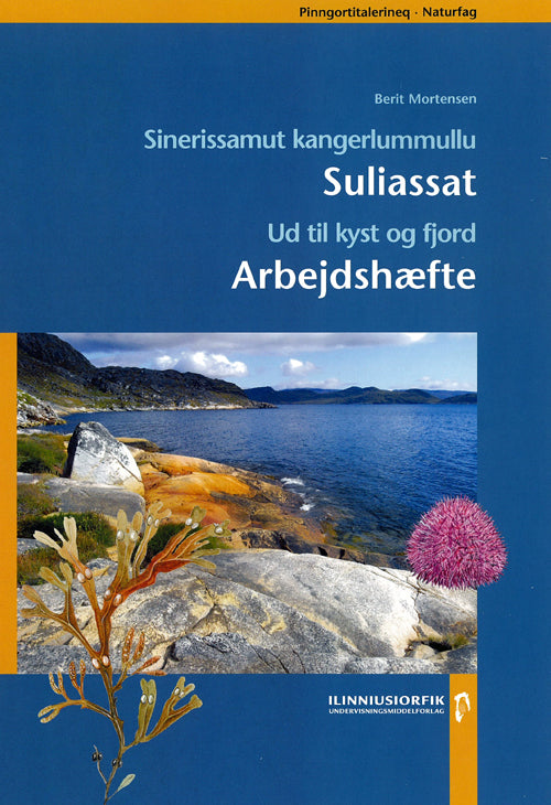 Sinerissamut kangerlummullu. Ud til kyst og fjord