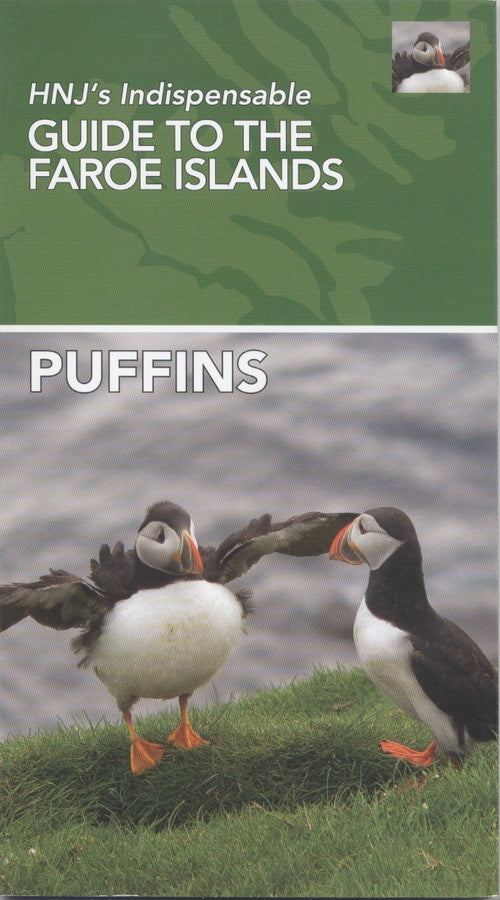 Puffins