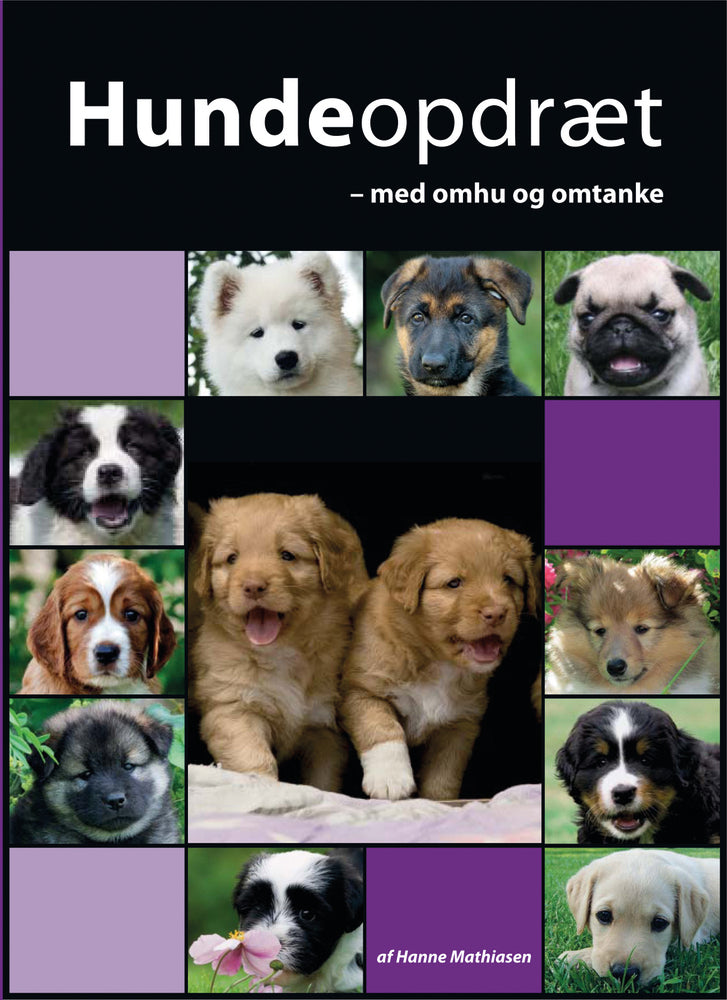 Hundeopdræt - med omhu og omtanke