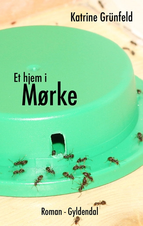 Et hjem i Mørke