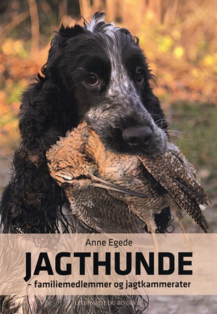 Jagthunde